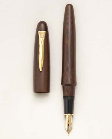 Bút máy Platinum Izumo-Tagayasan Matte 18K B